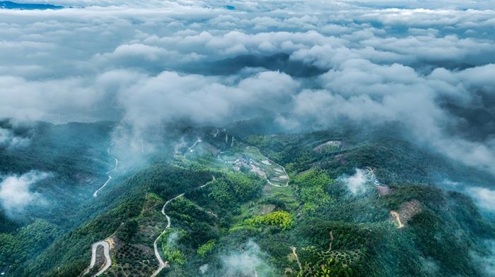 山路彎彎景如畫