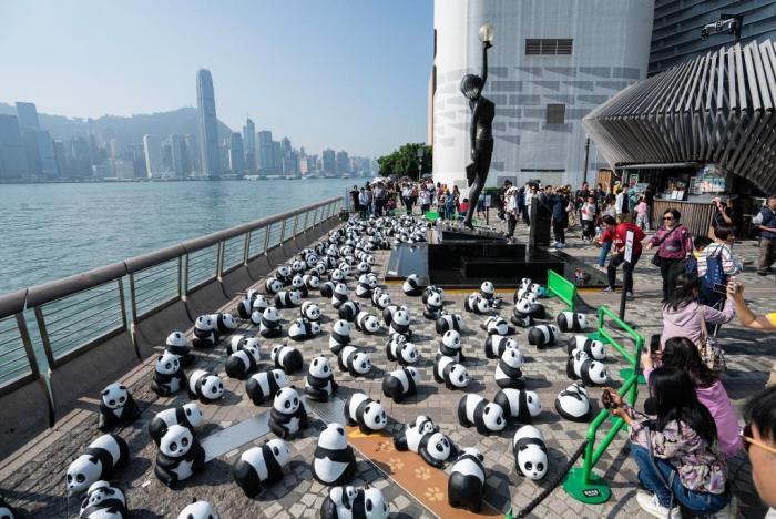 “大熊貓”遍布香港維港星光大道