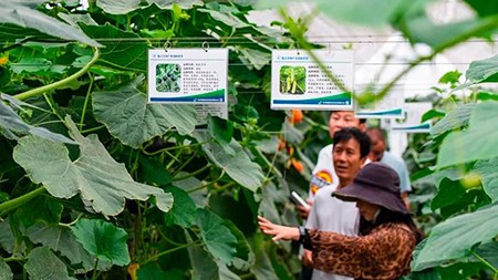 空間站與“卡脖子”，中國在警醒中爭取“逆襲