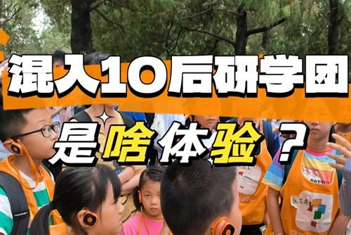 90后大齡兒童混進10后研學團，被教育了……