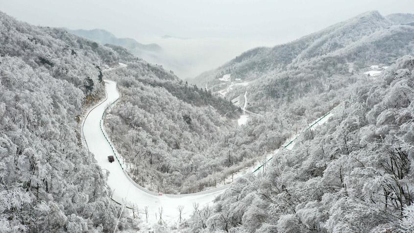 湖北?？惮F森林霧凇景觀 如水墨畫卷